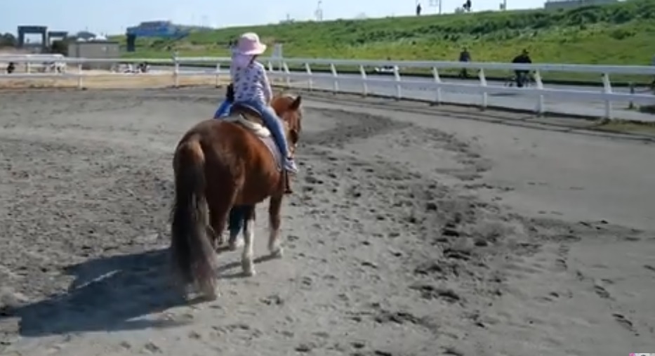 Shinozaki Pony Land