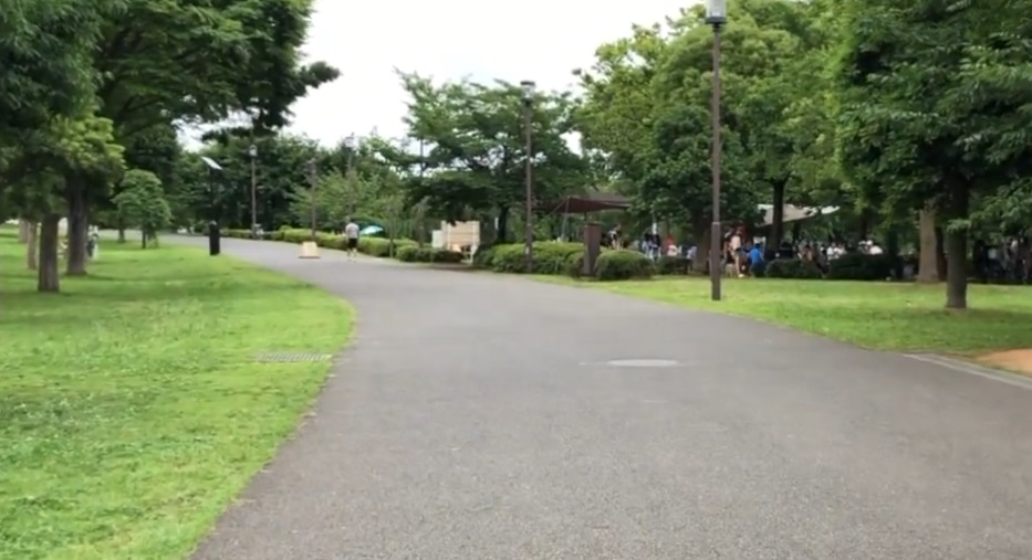 Ojima-Komatsugawa Park