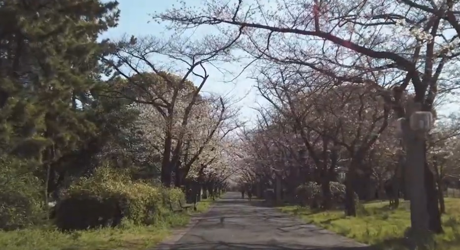 Tatsumi-no-Mori Seaside Park